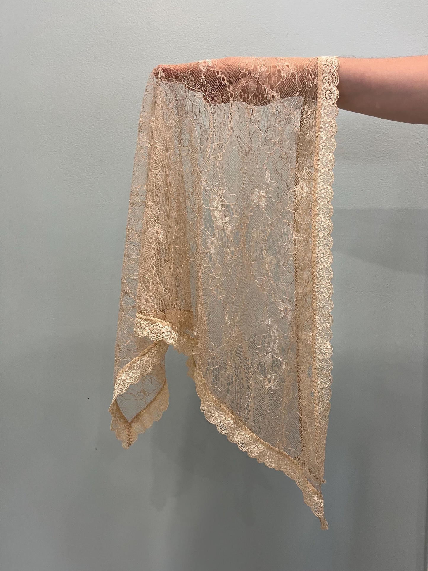 Beige Chantilly Lace Veil Triangle Shape Mantilla