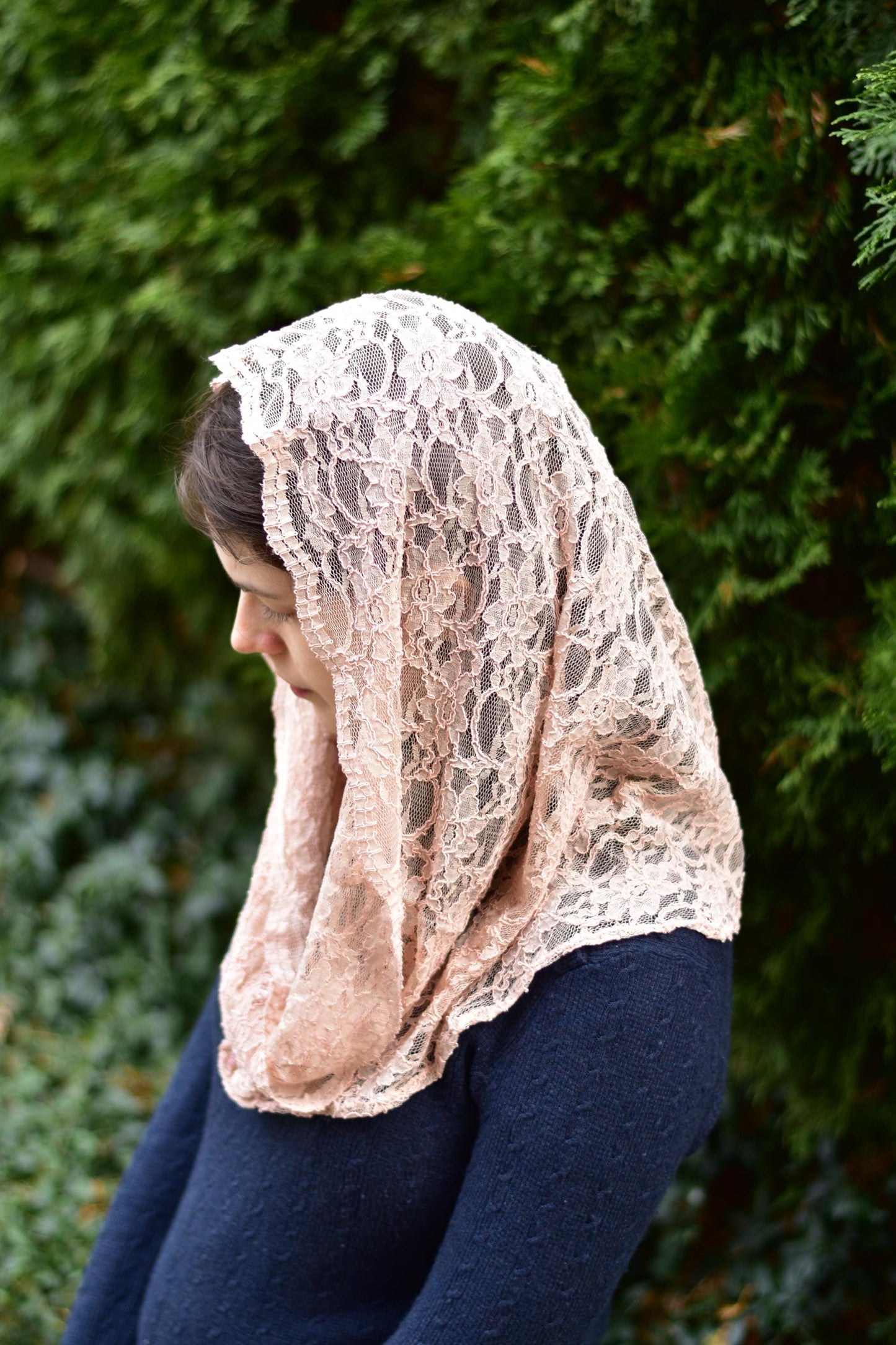 Neutral Pink Lace Infinity Chapel Veil Mantilla