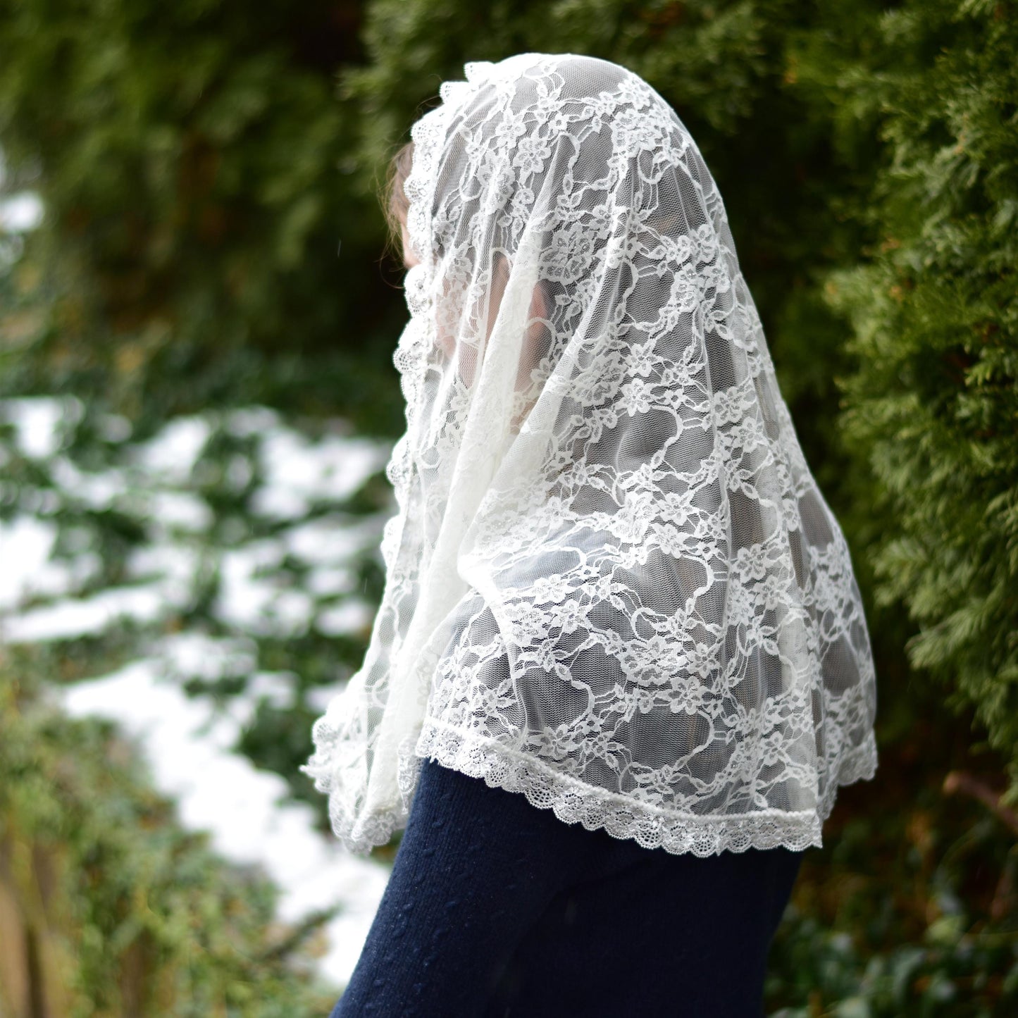 Stretch Lace Half Circle Shape Veil