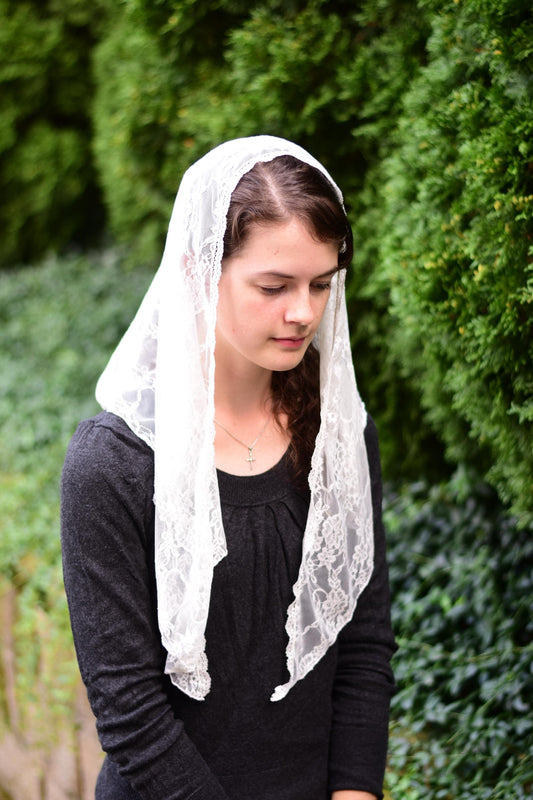 Wide Stretch Lace Triangle Shape Veil