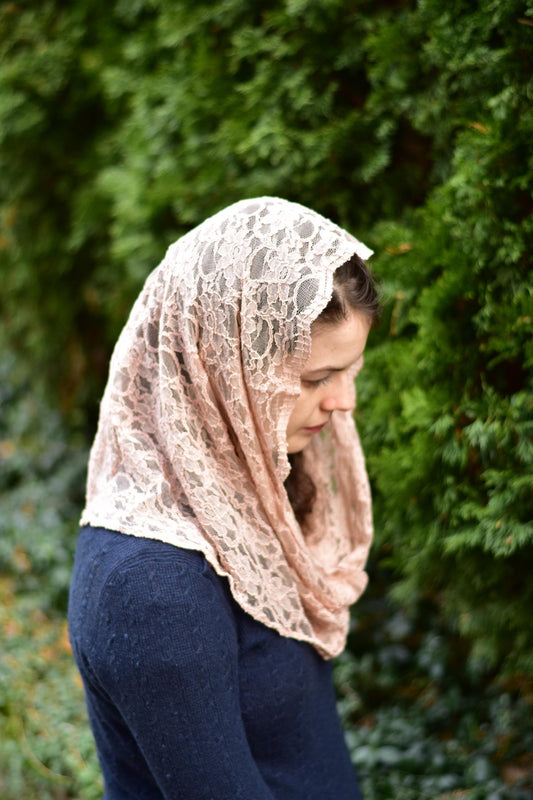 Neutral Pink Lace Infinity Chapel Veil Mantilla